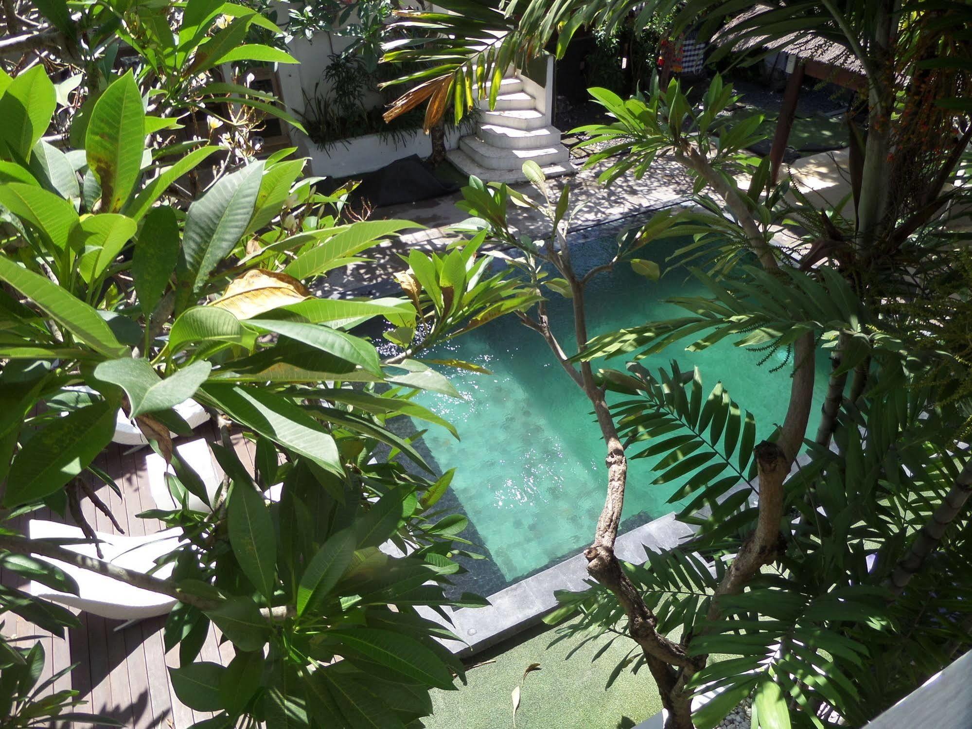 The Island Bali Hostel Σεμινιάκ Εξωτερικό φωτογραφία